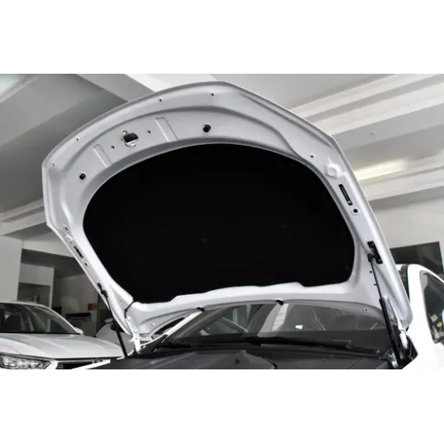 New Energy Vehicle Electric Vehicle BYD  Qin Plus EV BYD Electric Car Electro Car Automobile